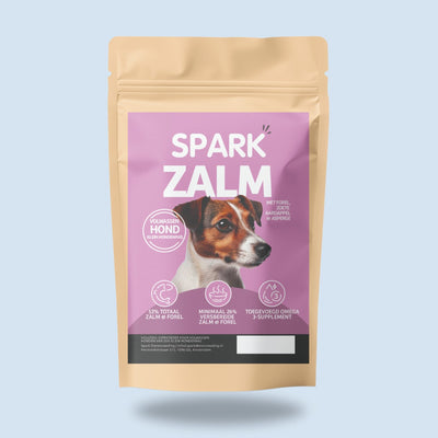 Volwassen - Klein - Zalm met Forel, Zoete Aardappel & Asperge