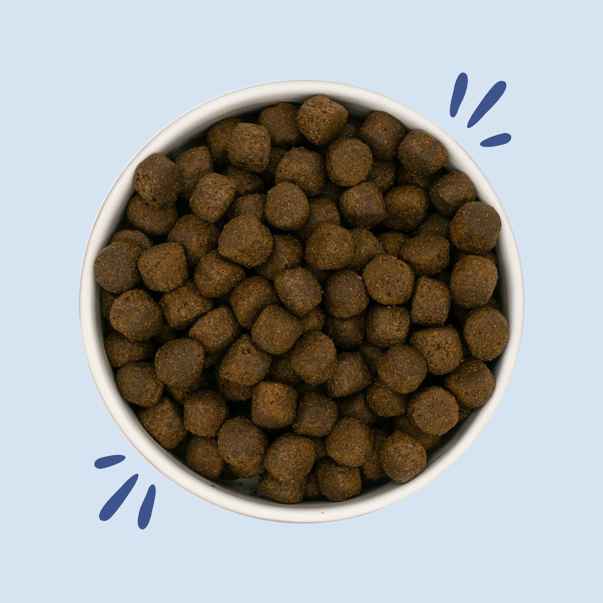Puppy - Groot - Zalm met Zoete Aardappel & Groenten