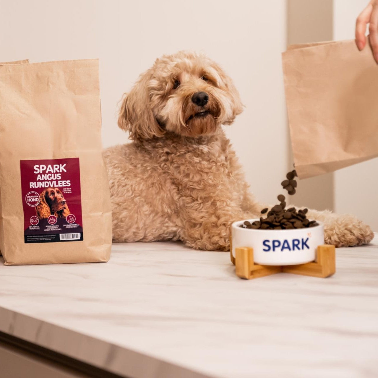 Volwassen - Angus Rundvlees met Zoete Aardappel & Wortel