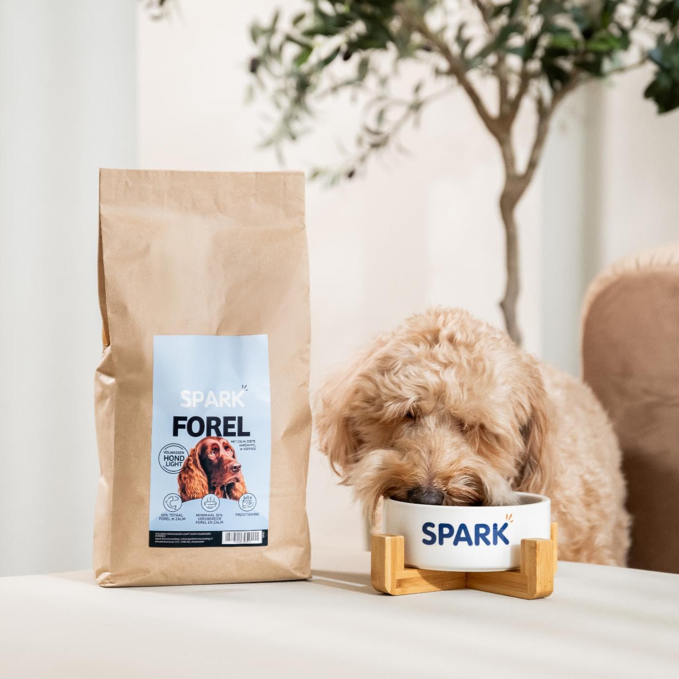 Senior - Light - Forel met Zalm, Zoete Aardappel & Asperge