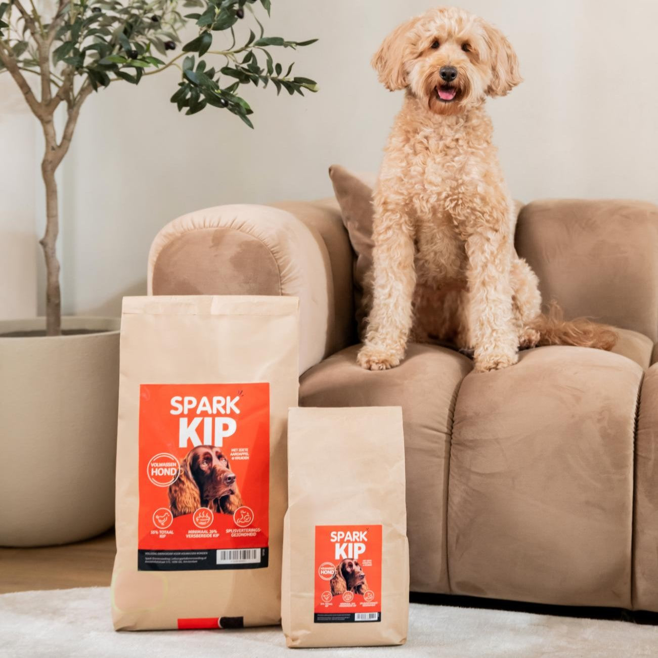 Volwassen - Kip met Zoete Aardappel & Kruiden