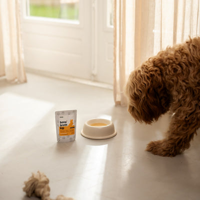 Bottenbouillon - Pure Bone Broth - Kip