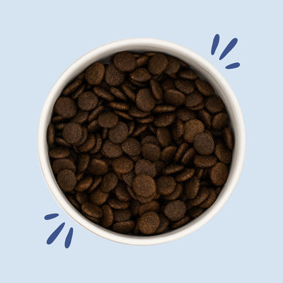 V2.0 - Volwassen - Kip met Zoete Aardappel